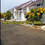 WhatsApp Image 2025-05-12 at 18.29.52